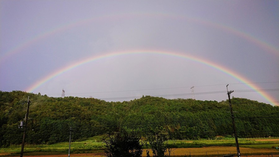 雷雨の後に 空に二重の虹浮かぶ バームクーヘンみたい 丹波新聞