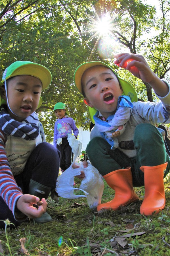 大きい秋 みーつけた 園児らどんぐり拾い楽しむ 丹波新聞