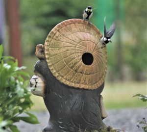 タヌキ から巣立つ 巣箱代わりのシジュウカラ 巣は清潔 親は偉い 丹波新聞