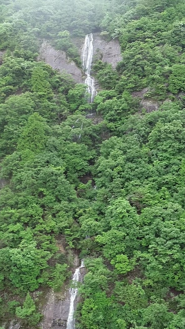 名もなき 幻の滝 大雨後に現れる落差150メートル 滝が連なる 連瀑帯 丹波新聞