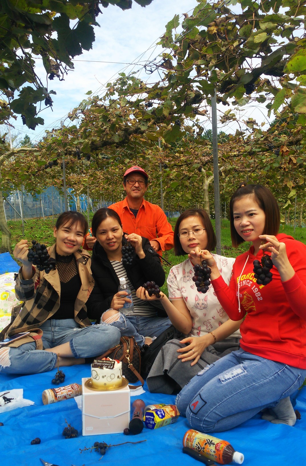 ベトナム人に人気の場所とは ブドウ園で休日 まるでお花見 ケーキやカラオケ持ち込みも 丹波新聞