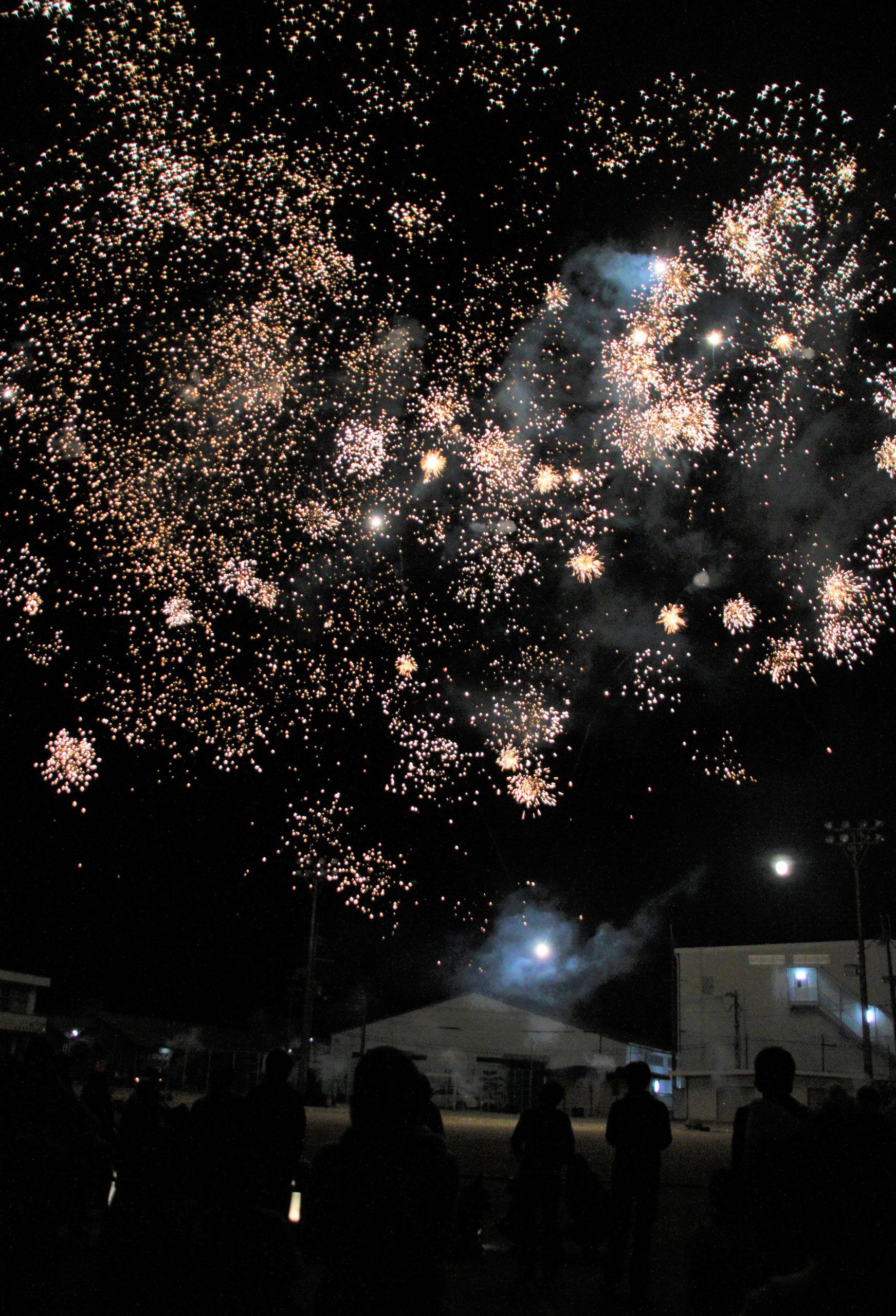 満月の夜に咲く 光の花 ハロウィンに打ち上げ花火 夏祭りに代わる 光の夜祭 丹波新聞