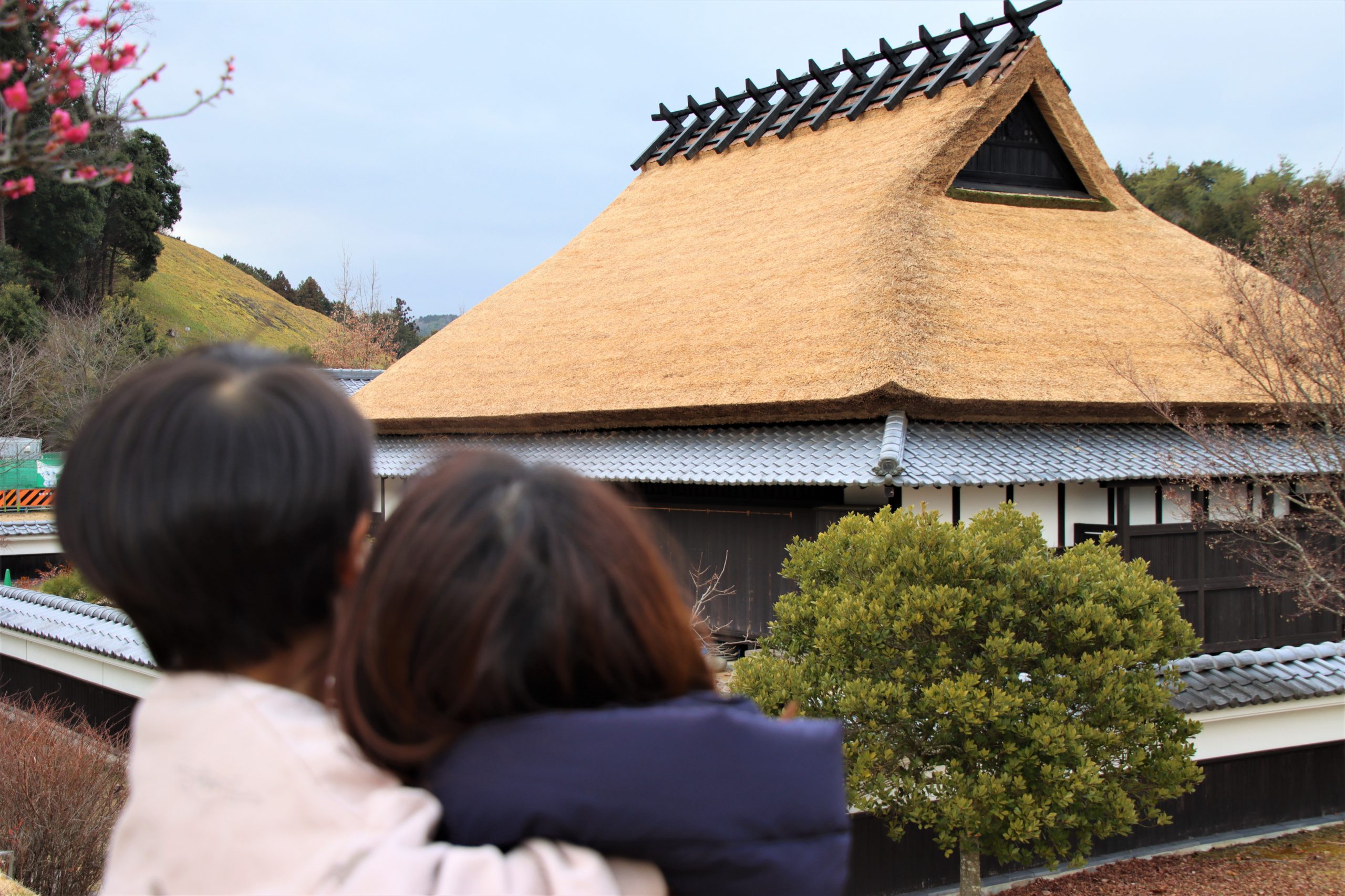 黄金色の屋根復活 古民家のかやふき替え完了 公園のシンボル 丹波新聞