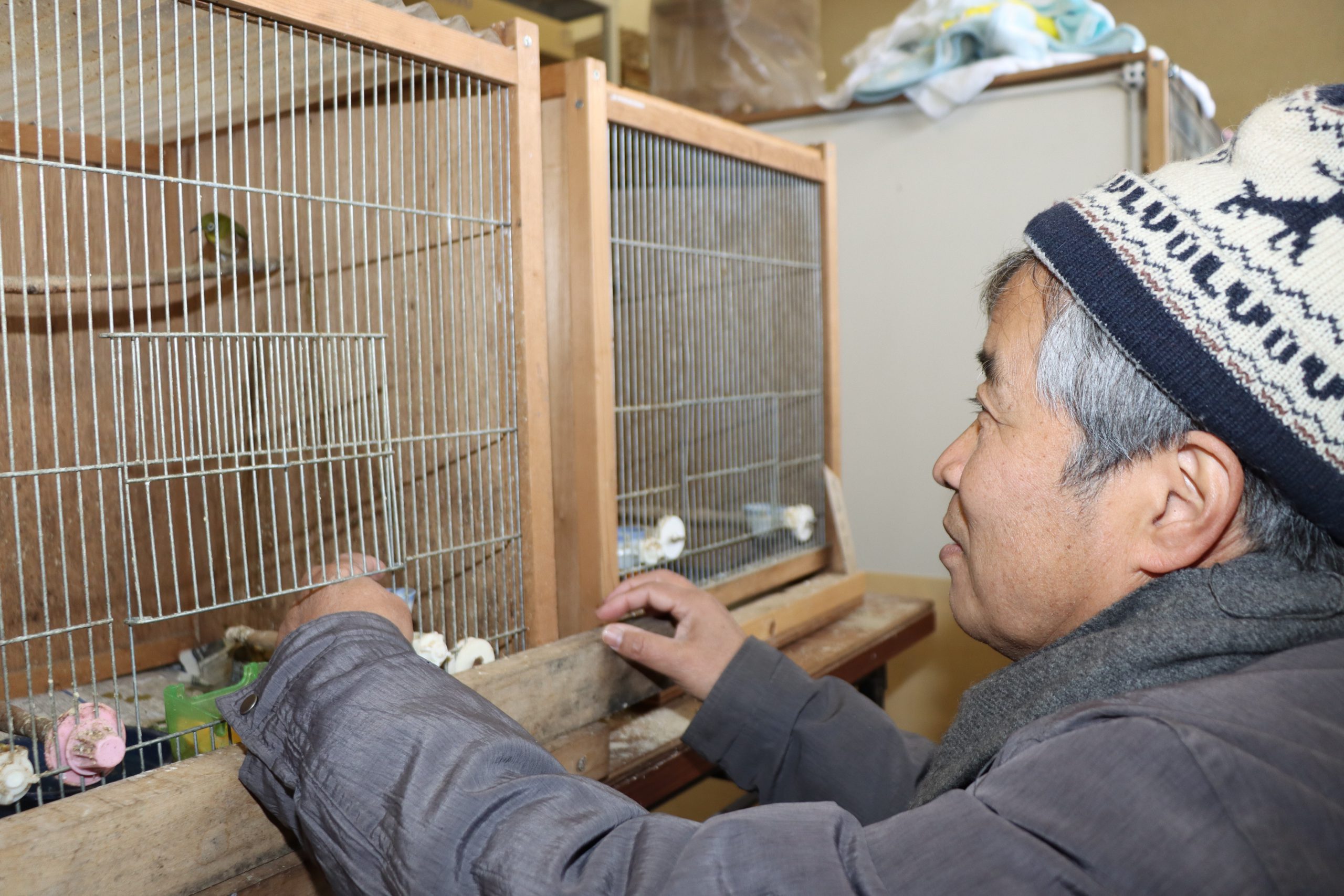 鳥助け にやりがい 傷病鳥の野生復帰無償で あえて ドライ に 丹波新聞