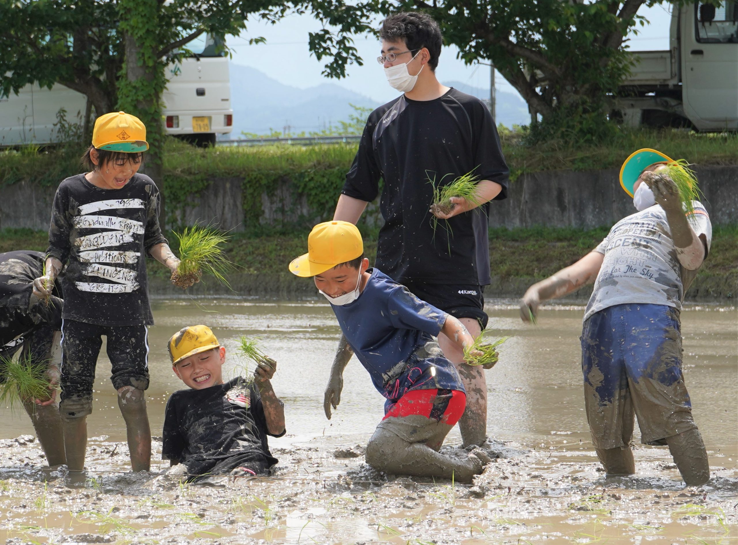 尻もち続出 泥まみれで田植え挑戦 児童ら 早く食べたい 丹波新聞