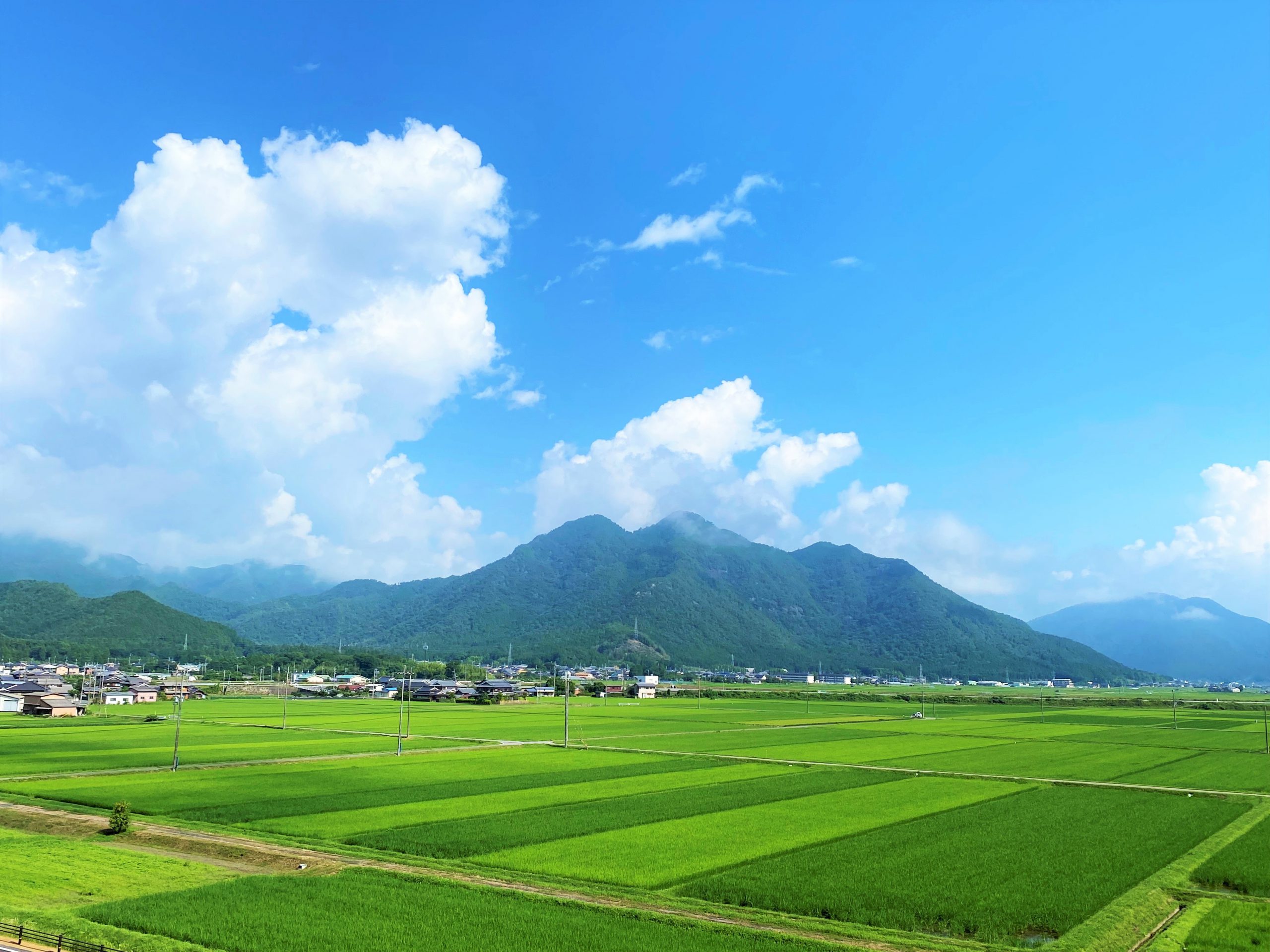 稲様 稲田姫 純米吟醸 | 鳥取県の酒蔵「稲田本店」の純米吟醸酒 | 日本酒ガイド