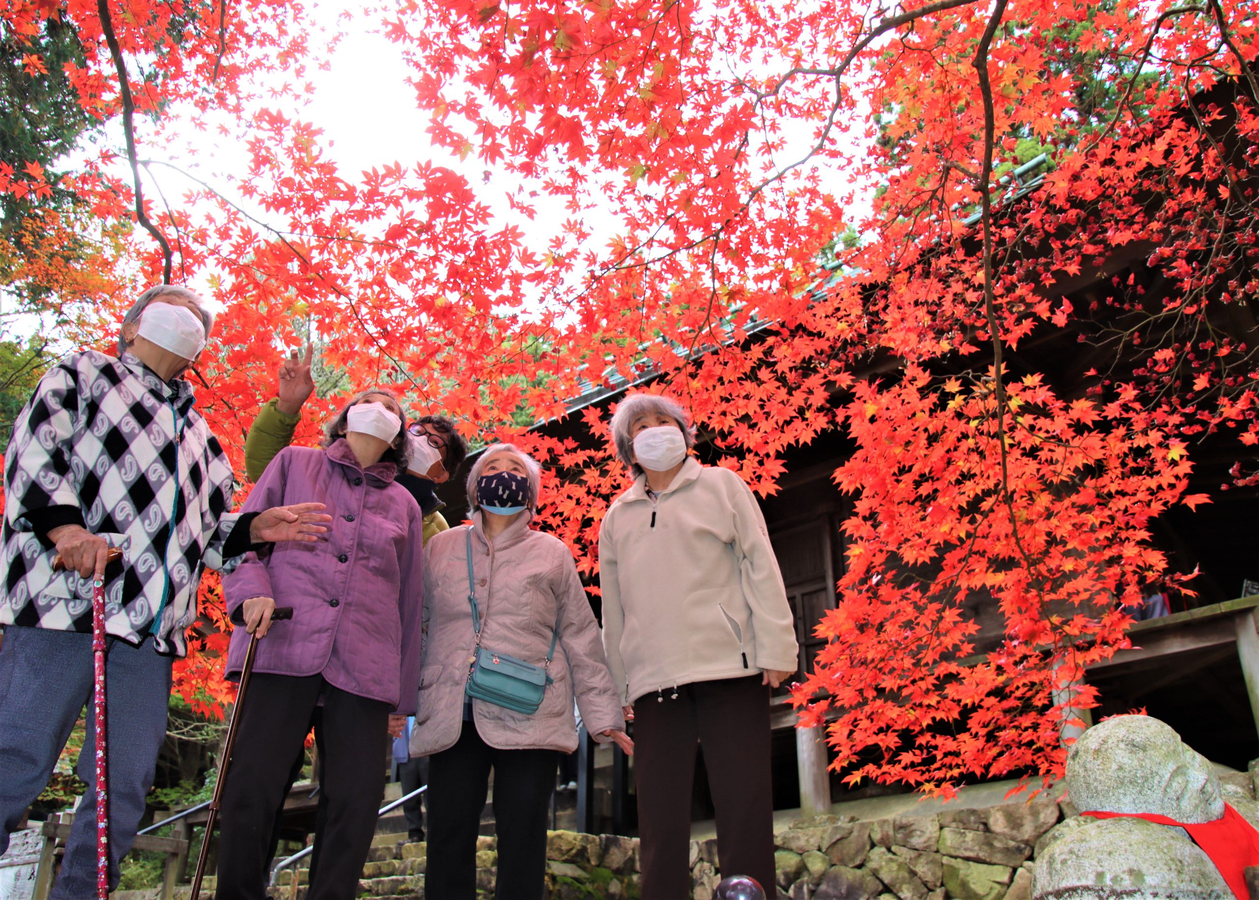 やっと見れた 久しぶり 古刹で紅葉見ごろ 仏もうっとり 丹波新聞