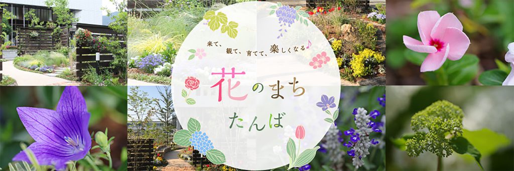 おかえり ツバメの 帰省 始まる 夏にかけて子育てへ 丹波新聞