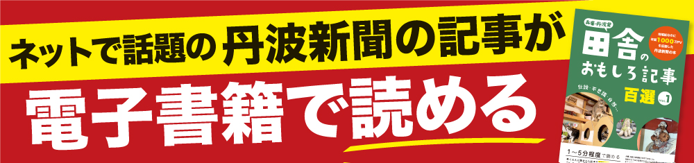 まさか咲くとは 地植えのソテツが開花 花言葉は 雄々しい 丹波新聞