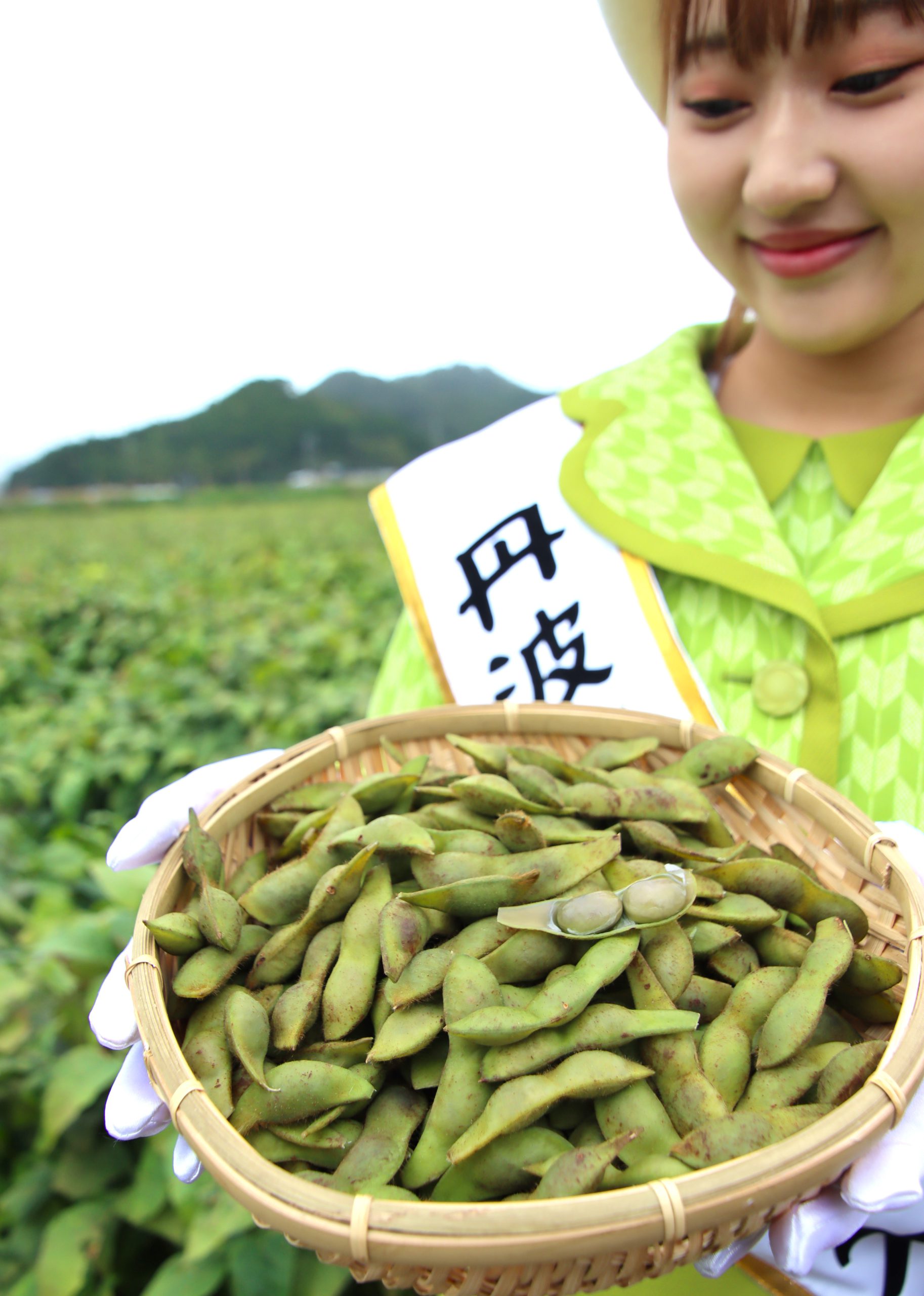 旬到来「丹波篠山黒枝豆」の販売開始 黒大豆の完熟前に味わう逸品