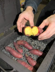 本格「石焼き芋機」 自社の技術生かし開発 「家庭で店の味を」 | 丹波新聞