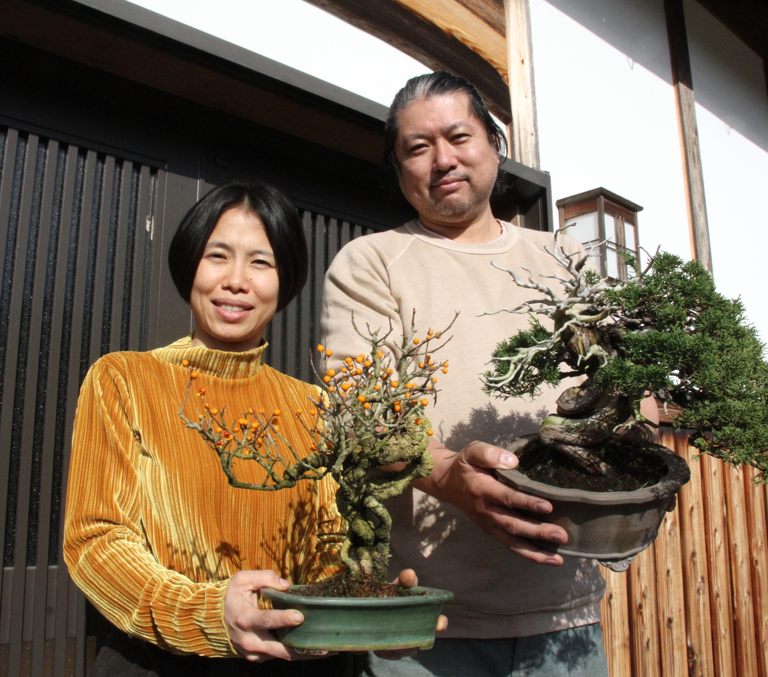 丹波に盆栽専門店 素材生産と子育て環境求め移住 23日から展示会 丹波新聞