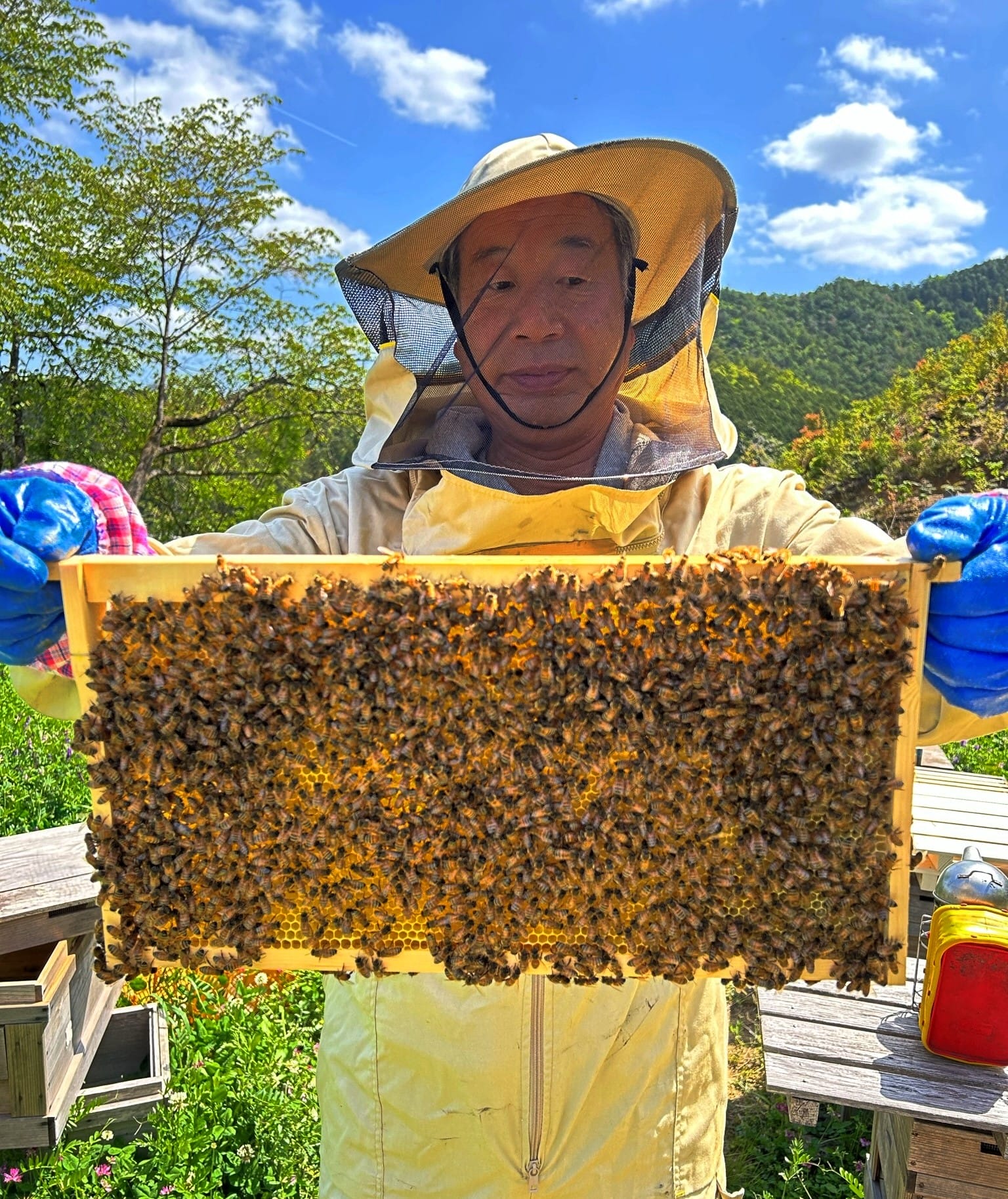 耕作放棄地で花育て採蜜 無農薬の生ハチミツ市販開始 養蜂業の横関さん - 丹波新聞