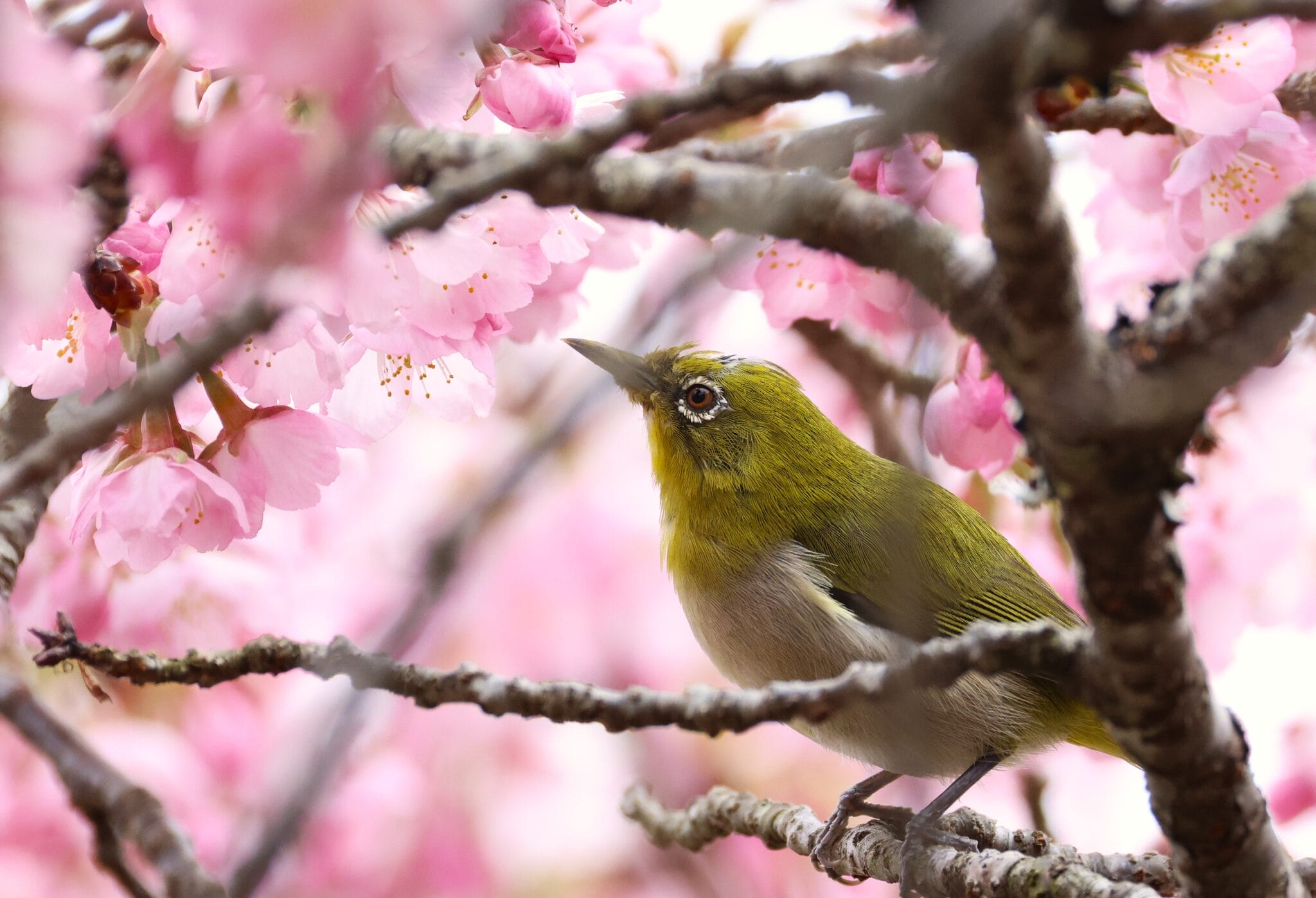 a383dbb022039039342da2ca8ef38f