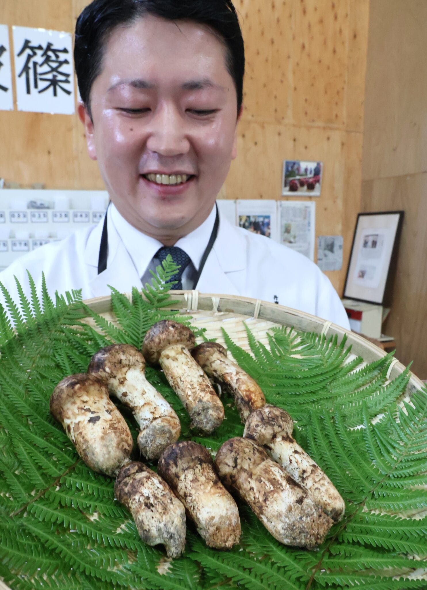 8本85万円 初松茸がお目見え 老舗料理旅館が落札「焼き松茸で」 - 丹波新聞